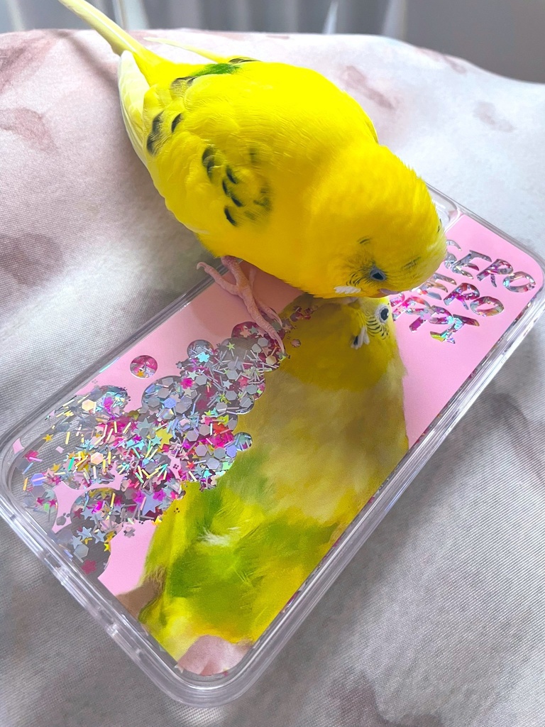 グリッターiPhoneケース セキセイインコ　ハルクイン　イエロー