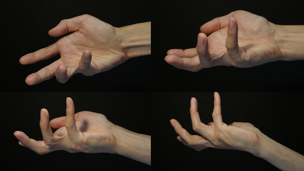 手の写真リファレンスパック