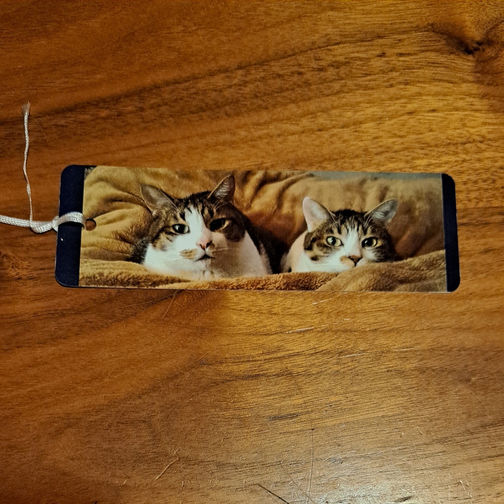 ピポの気まぐれしおり【4枚セット】【バラ】