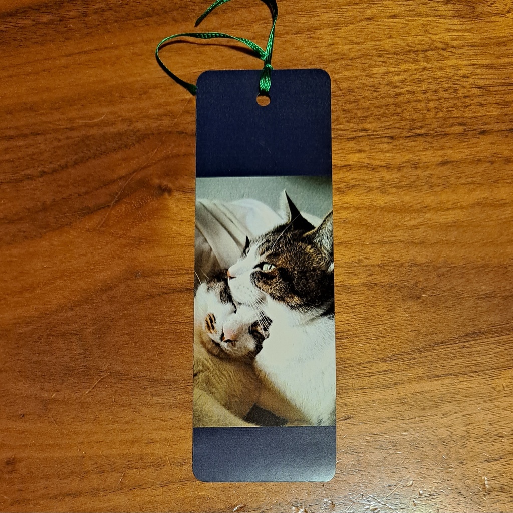 ピポの気まぐれしおり【4枚セット】【バラ】