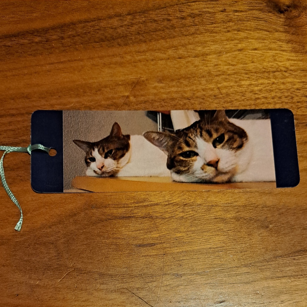 ピポの気まぐれしおり【4枚セット】【バラ】