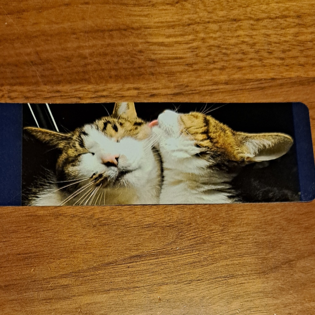 ピポの気まぐれしおり【4枚セット】【バラ】