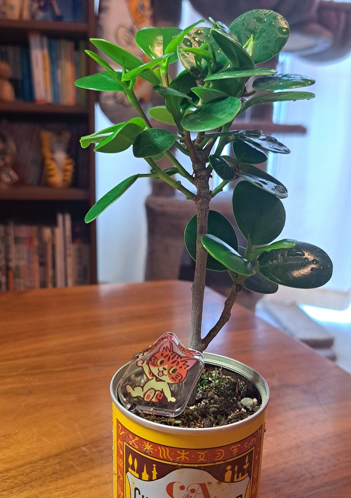 ピポハチ ミニアクリルスタンドセット