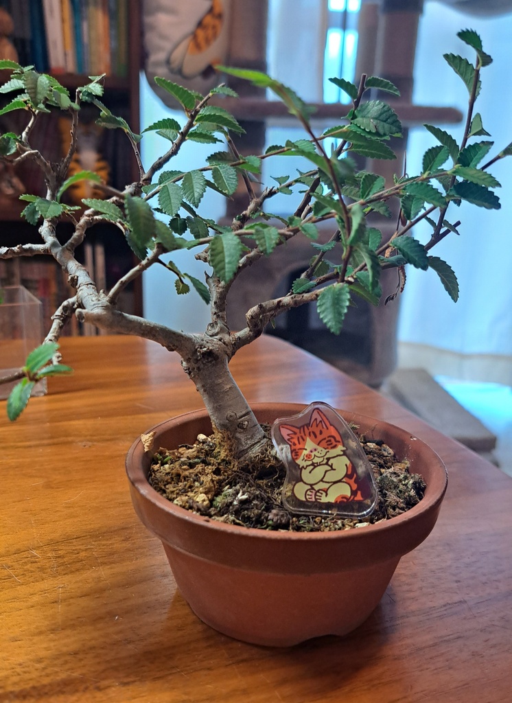 ピポハチ ミニアクリルスタンドセット