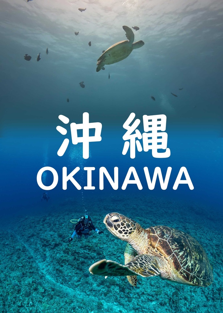 ZINE 沖縄　OINAWA