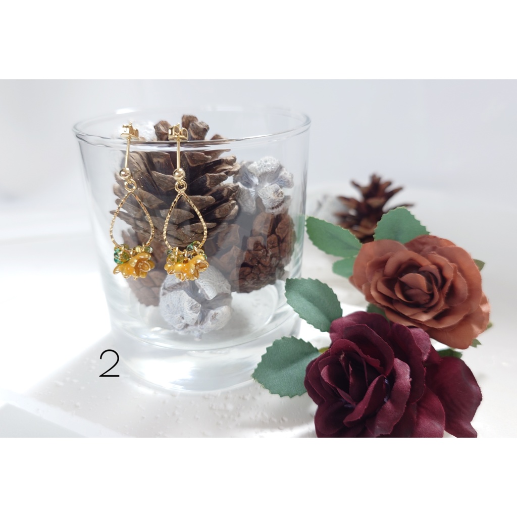 レイ イメージピアス/イヤリング