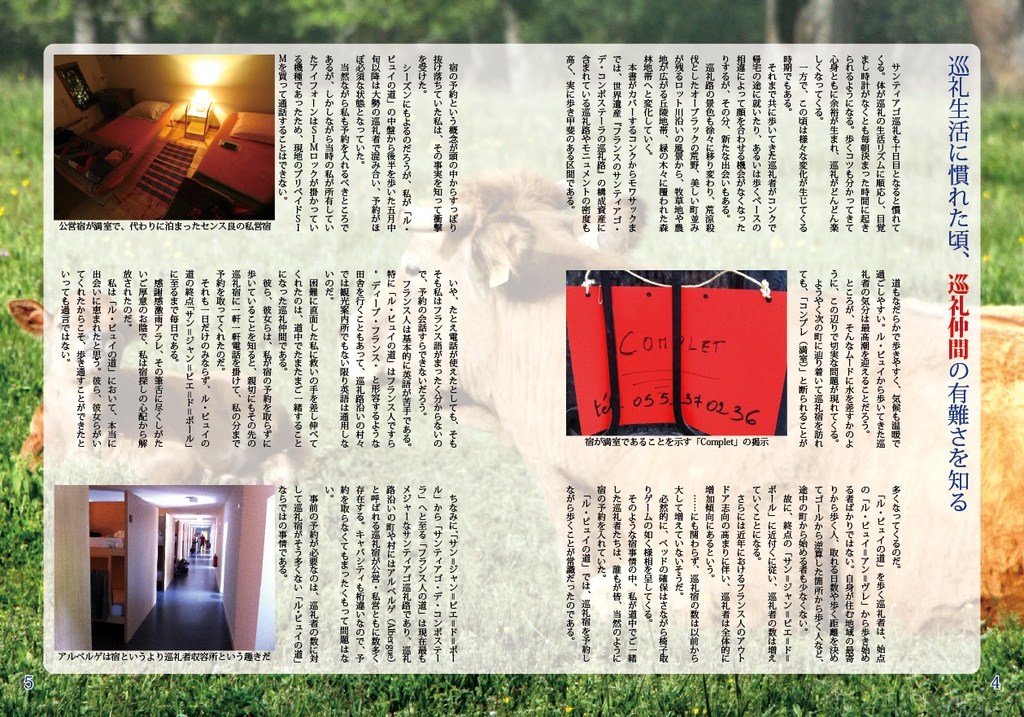 フランスのサンティアゴ・デ・コンポステーラの巡礼路 ル・ピュイの道Vol.2 コンク~モワサック