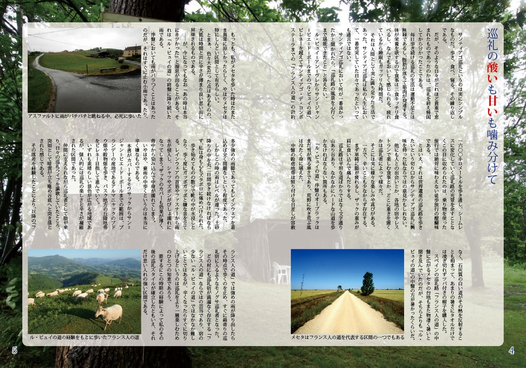 フランスのサンティアゴ・デ・コンポステーラの巡礼路 ル・ピュイの道Vol.3 モワサック~サン=ジャン=ピエ=ド=ポール