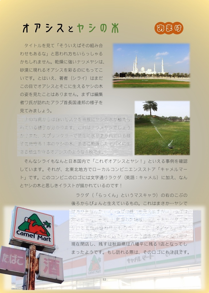 【書籍版】雰囲気ヤシの木