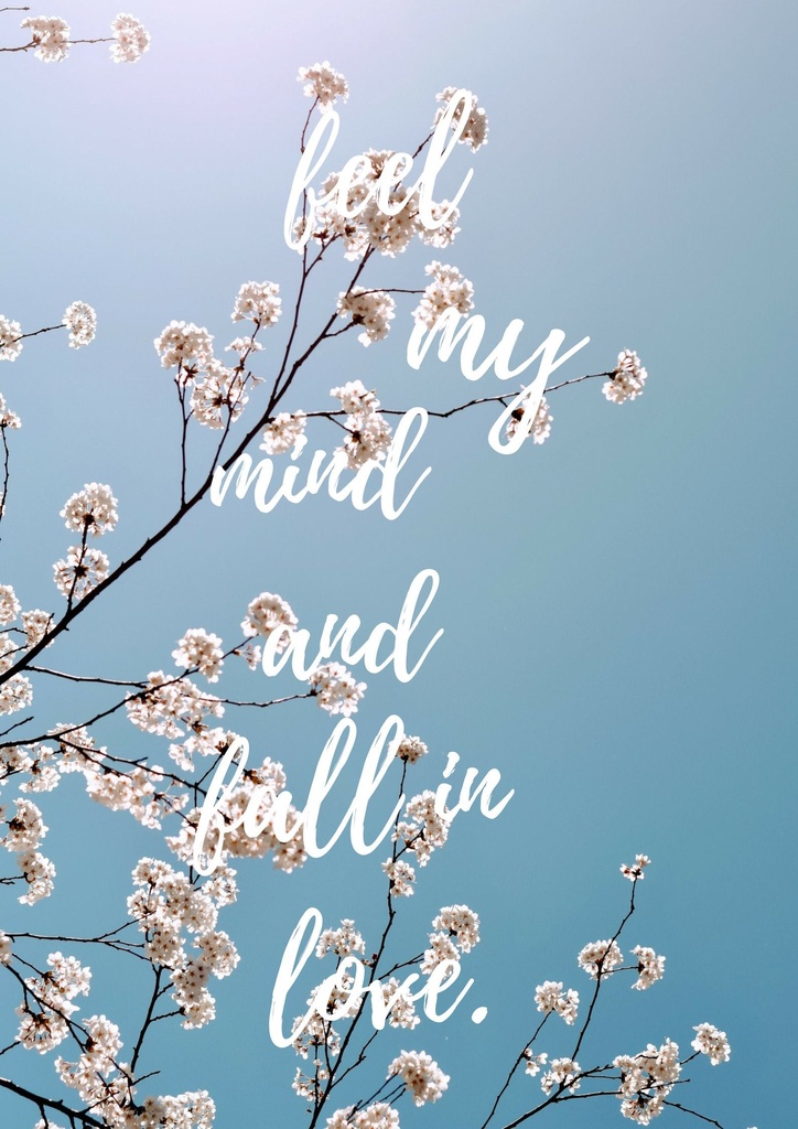 【薄桜鬼 collectionbox】yen&yan(斎藤x千鶴)他4作品