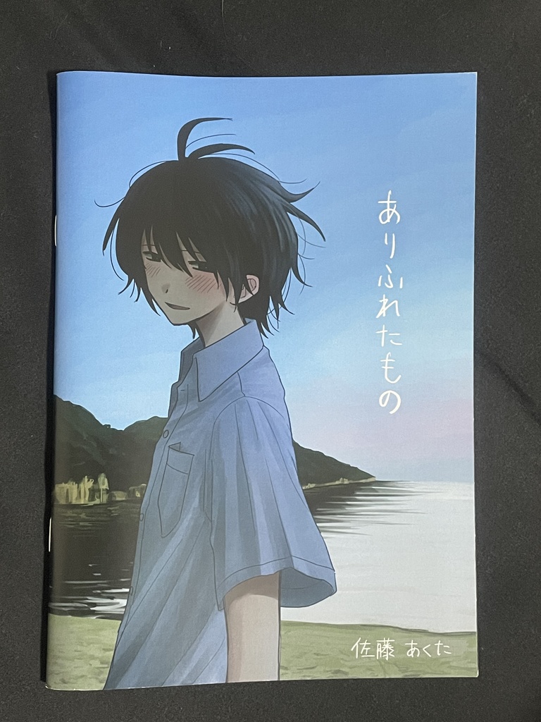 イラスト本「ありふれたもの」