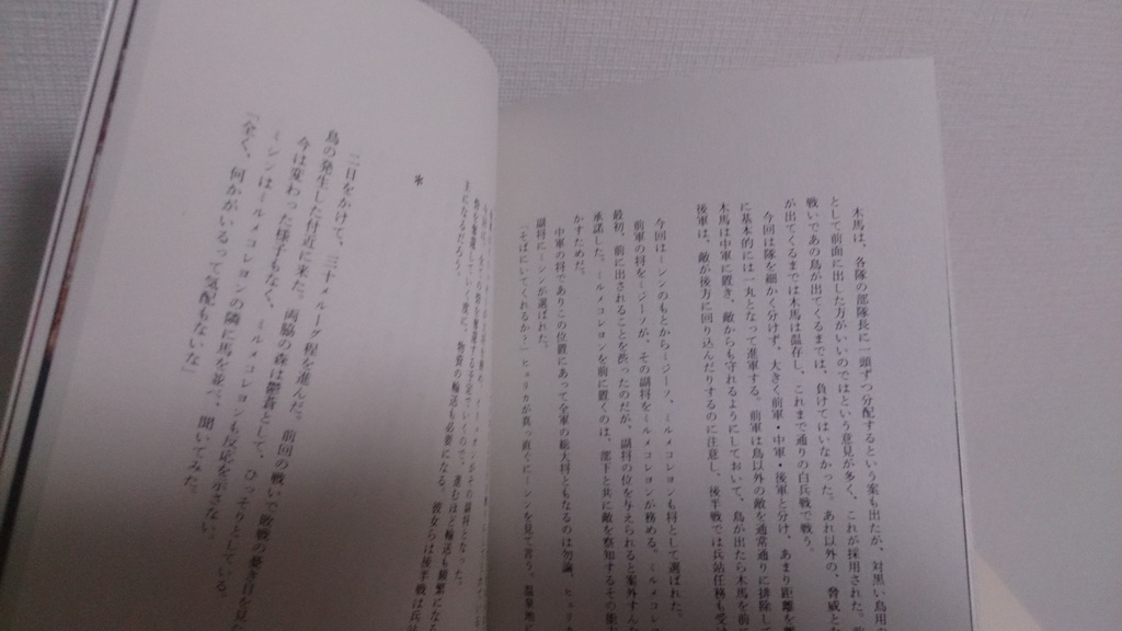 レチエ(ソフトカバー書籍)