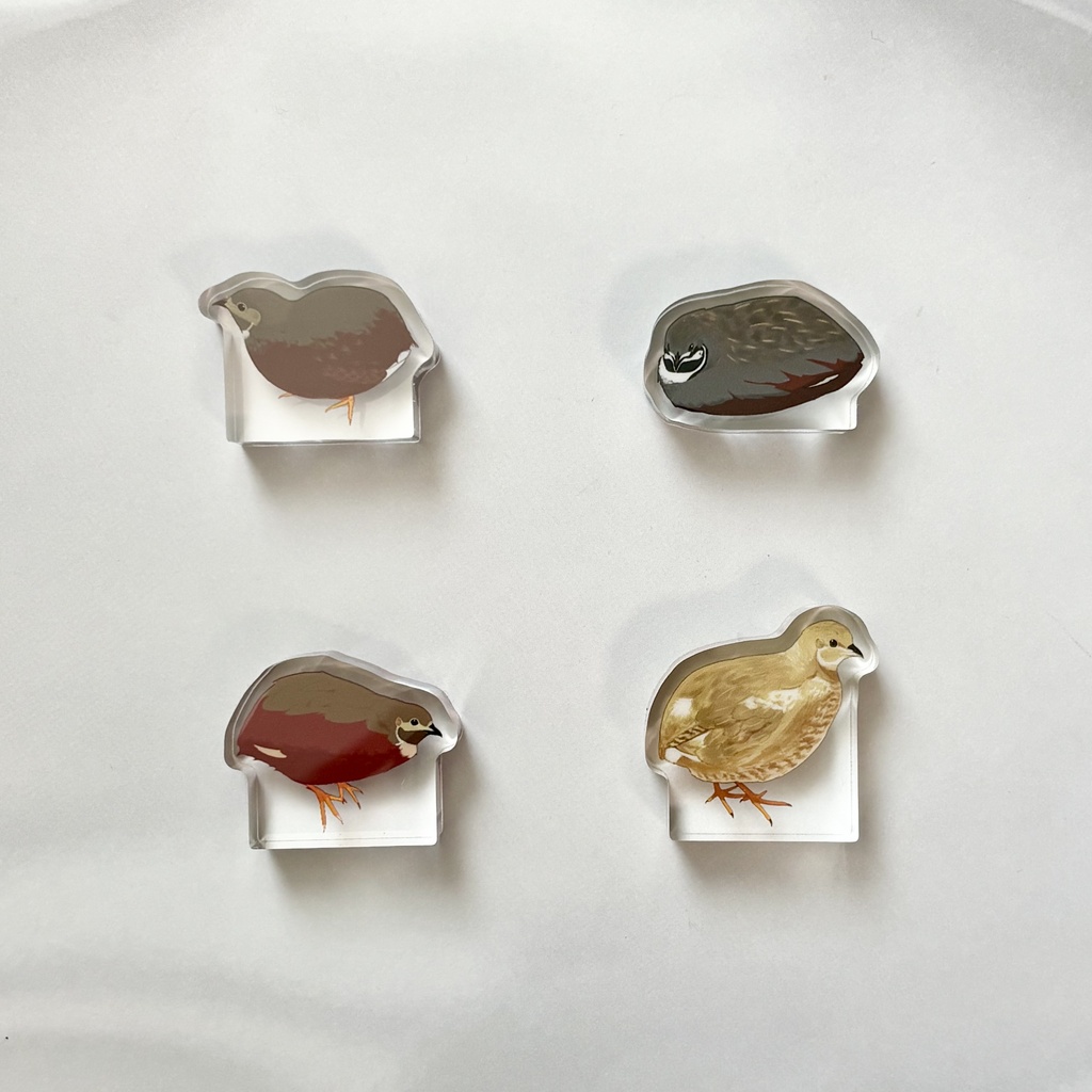 ヒメウズラ 自立ミニアクリルブロック