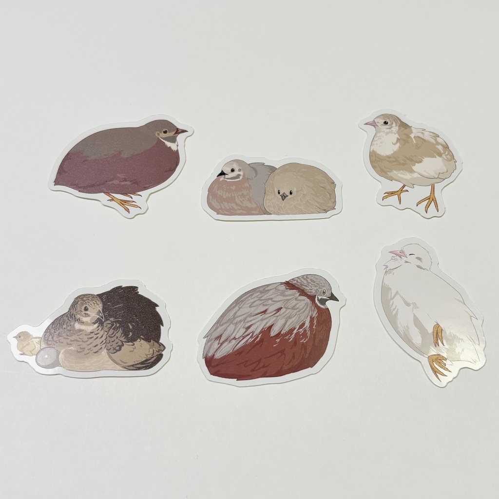 ヒメウズラ フレークシール 6種セット