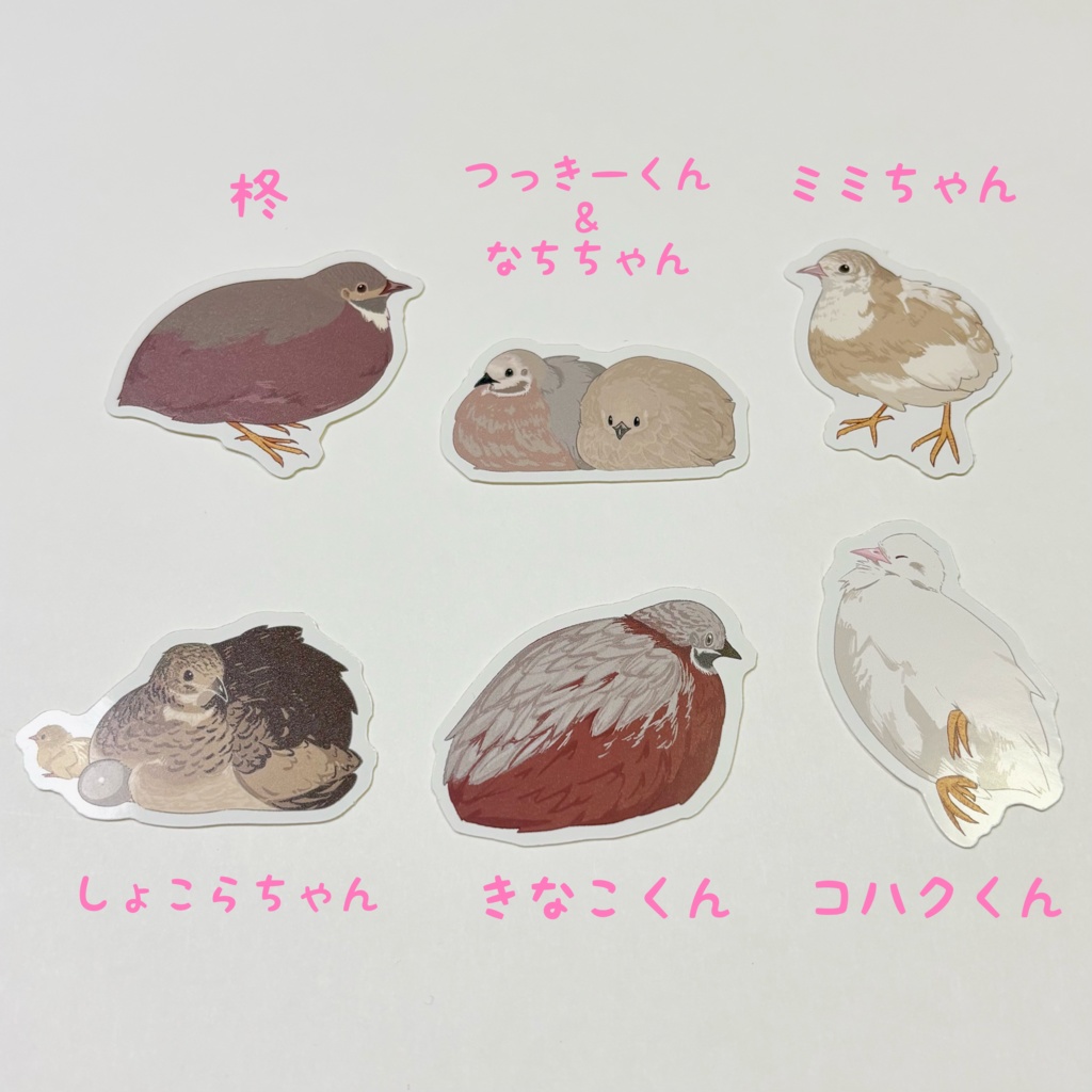 ヒメウズラ フレークシール 6種セット