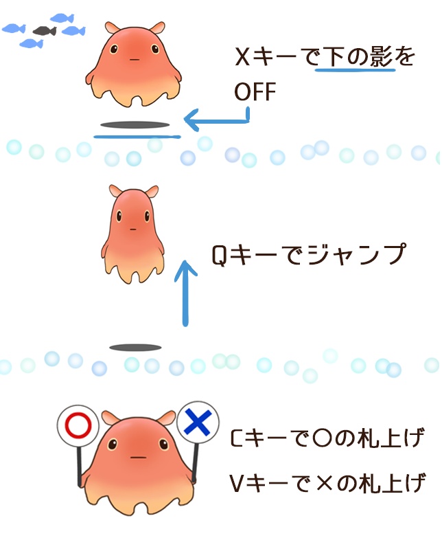 メンダコ flapjack octopus