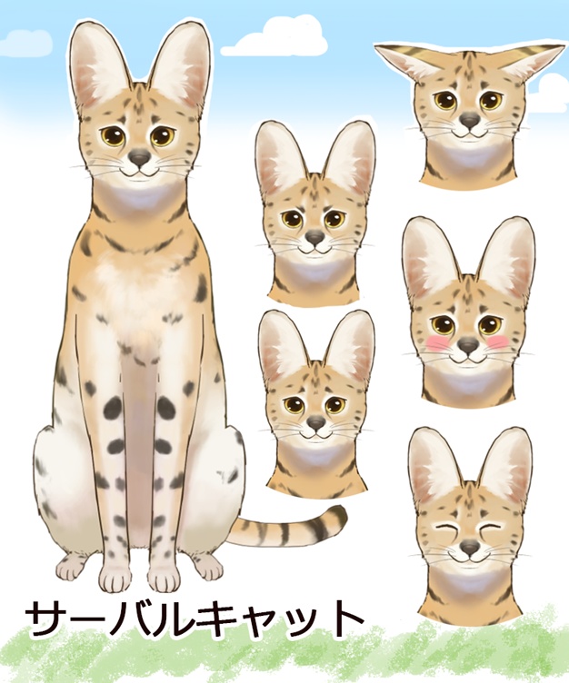 サーバルキャット serval cat