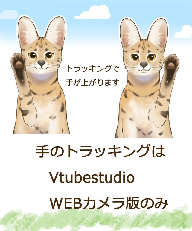サーバルキャット serval cat