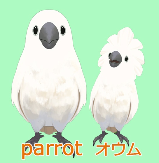 オウム parrot Live2d Vtuber