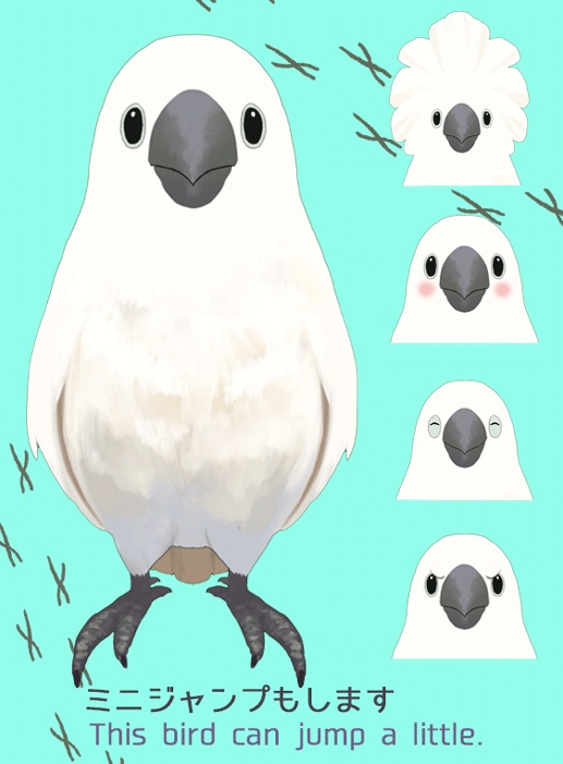 オウム parrot Live2d Vtuber
