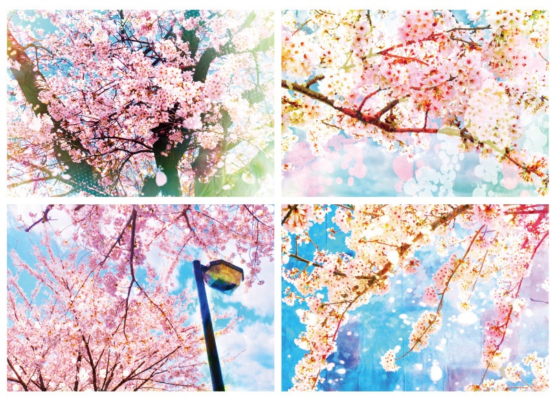 ★同人誌やココフォリアなどに使える素材集【S】