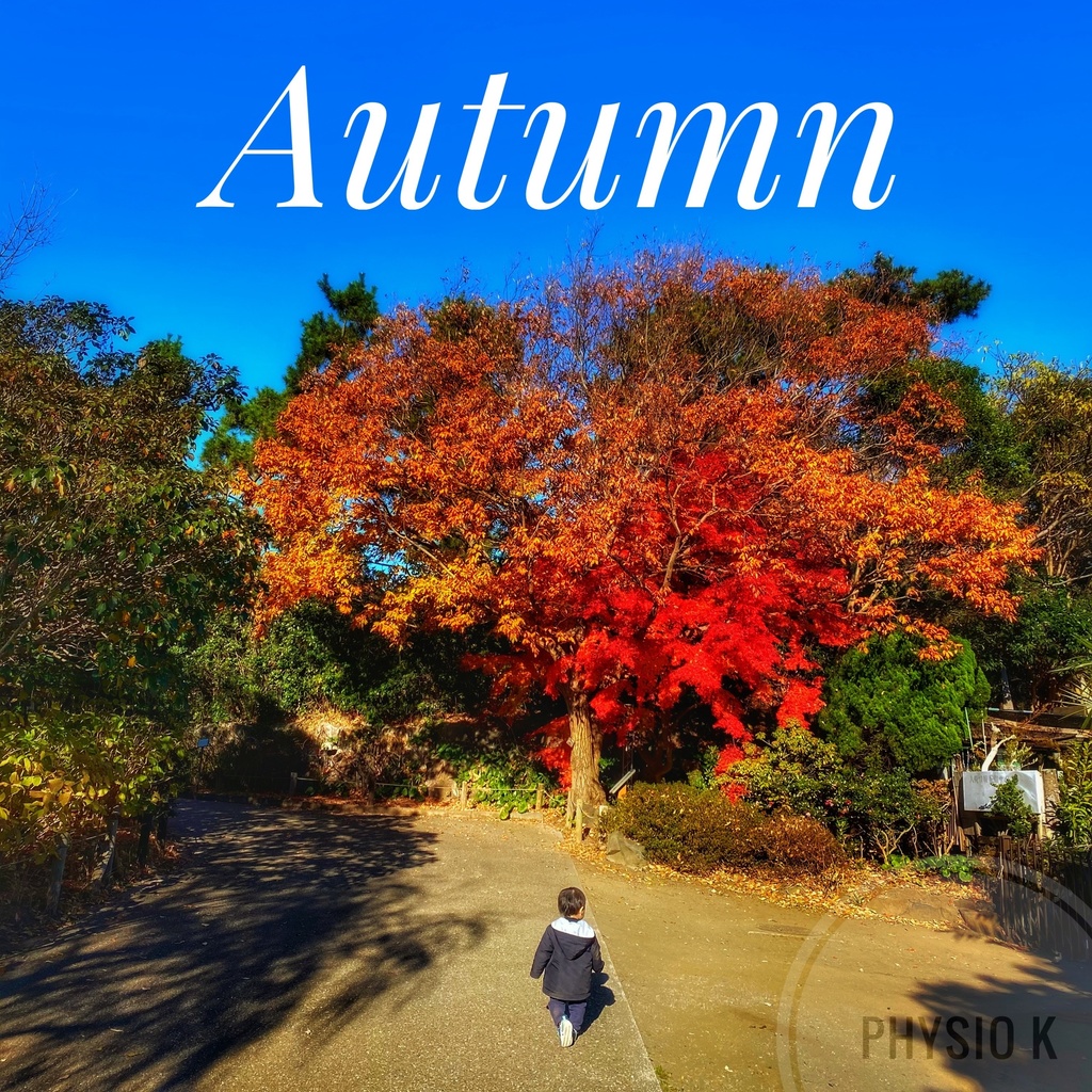 Autumn