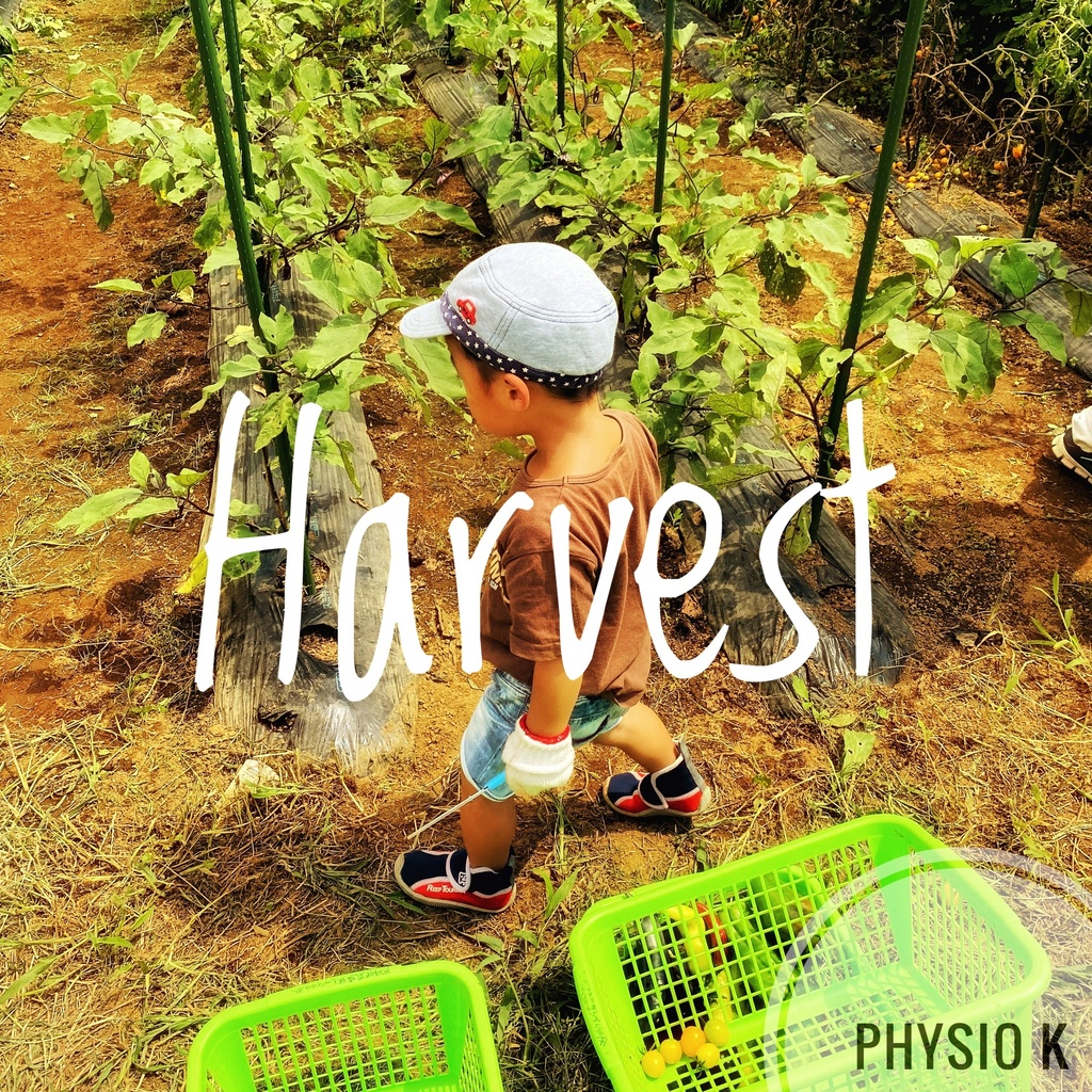 Harvest
