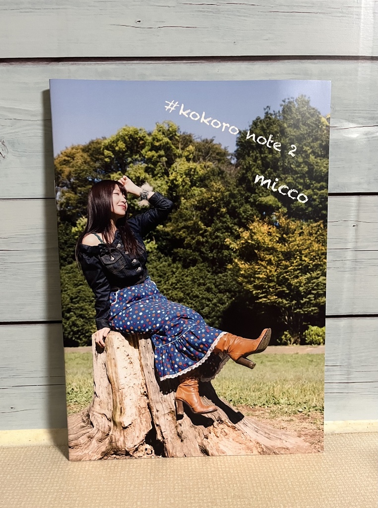 冊子 #心ノート2 / micco