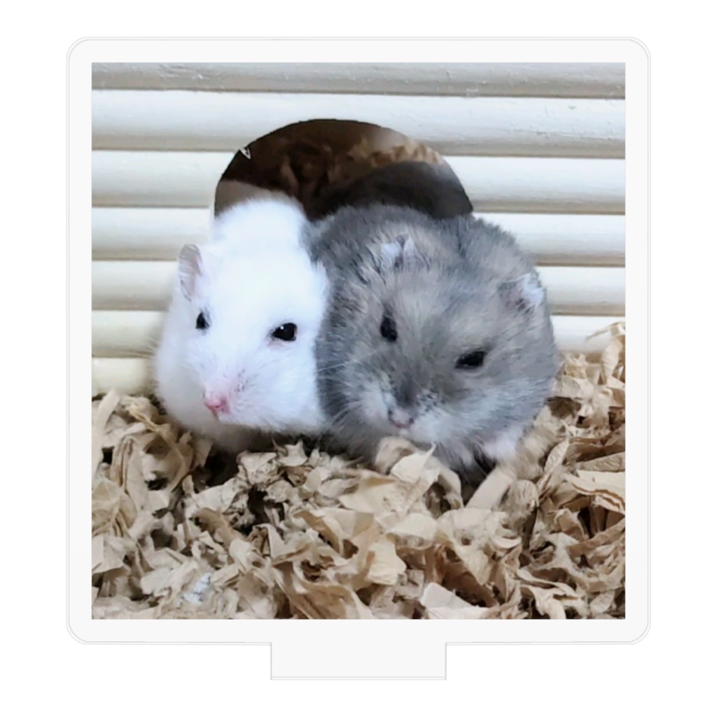 アクリルフィギュア こきち♂&みるく♀ 新婚さんごっこバージョン