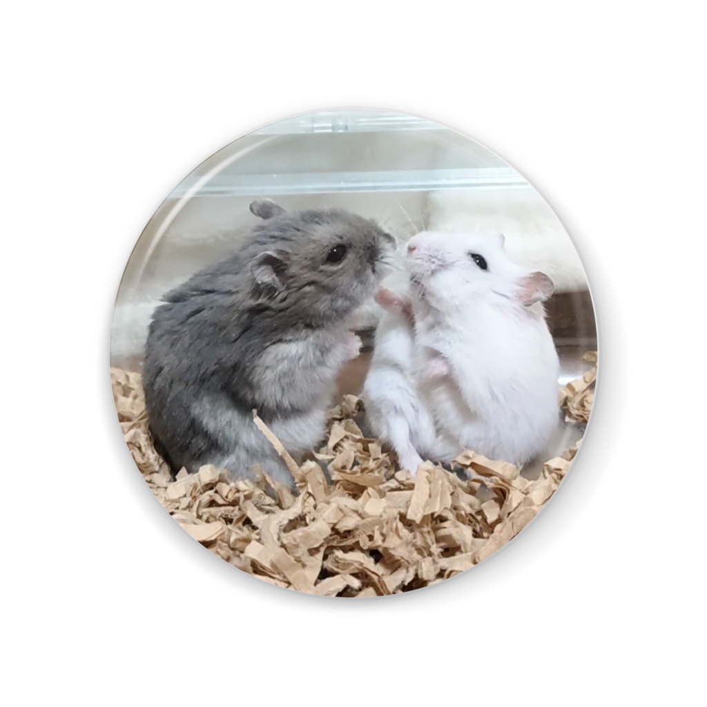 缶ミラー こきち♂&みるく♀ こきちマジックバージョン