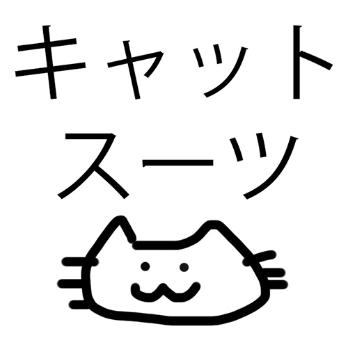 ROM『キャットスーツのやつ』