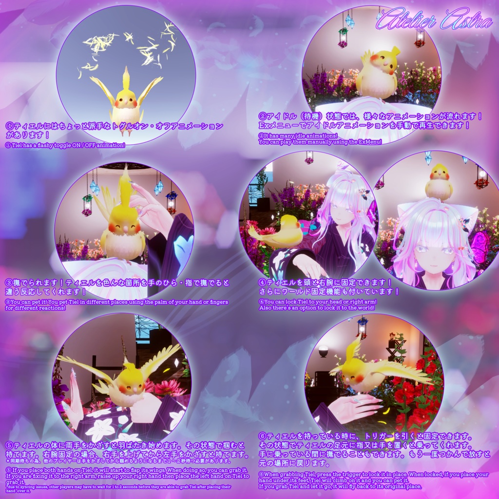 【アバターに置くだけ!】「MA対応」Pet Bird ~Tiel (ティエル)~