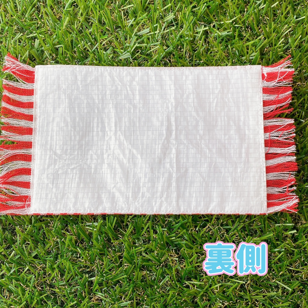 ぬい用レジャーシート