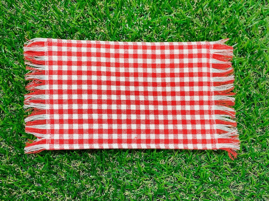 ぬい用レジャーシート