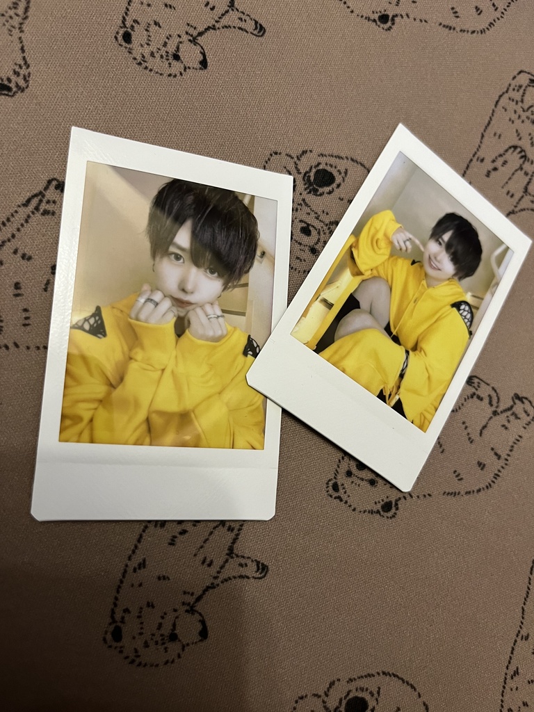 🐻ランダムチェキ5枚セット