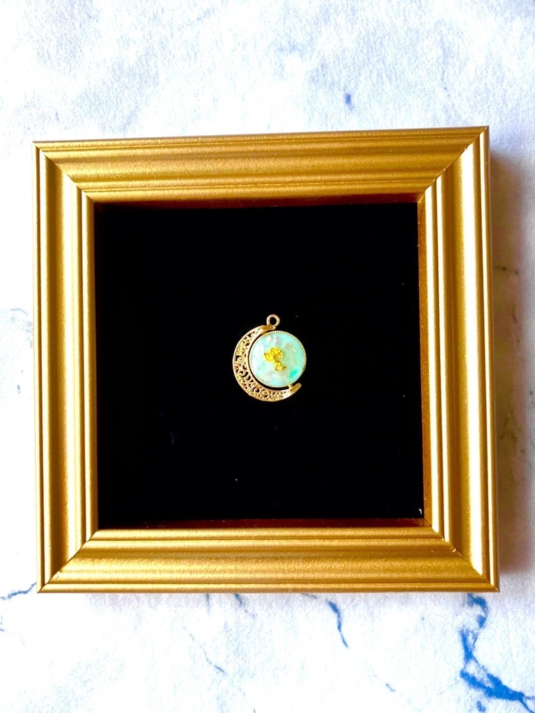 coco’s choice crescent moon