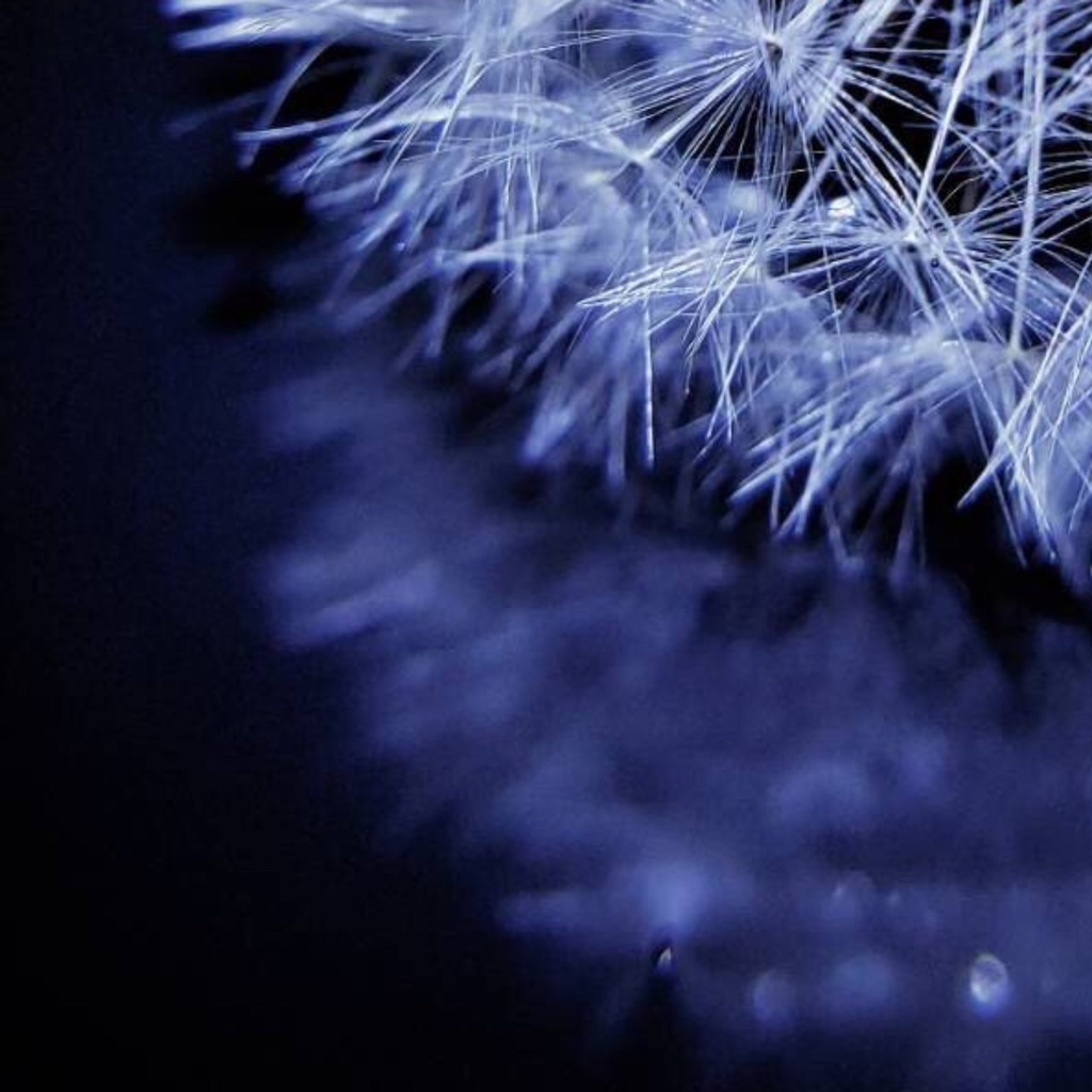 Sizuku(不要なものを遠ざける/命）