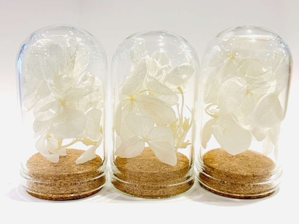 満月の夜「紫陽花の花守りー2025Ver」