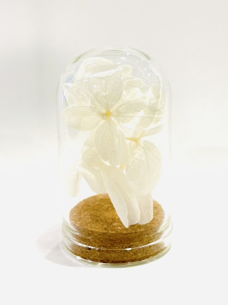 満月の夜「紫陽花の花守りー2025Ver」