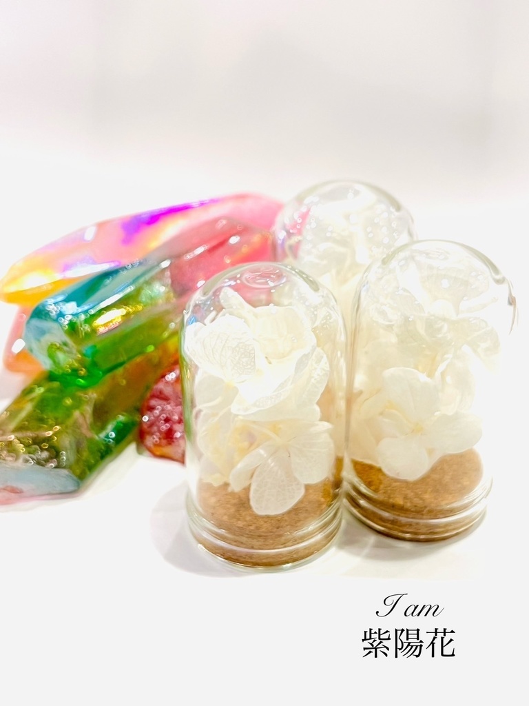 満月の夜「紫陽花の花守りー2025Ver」