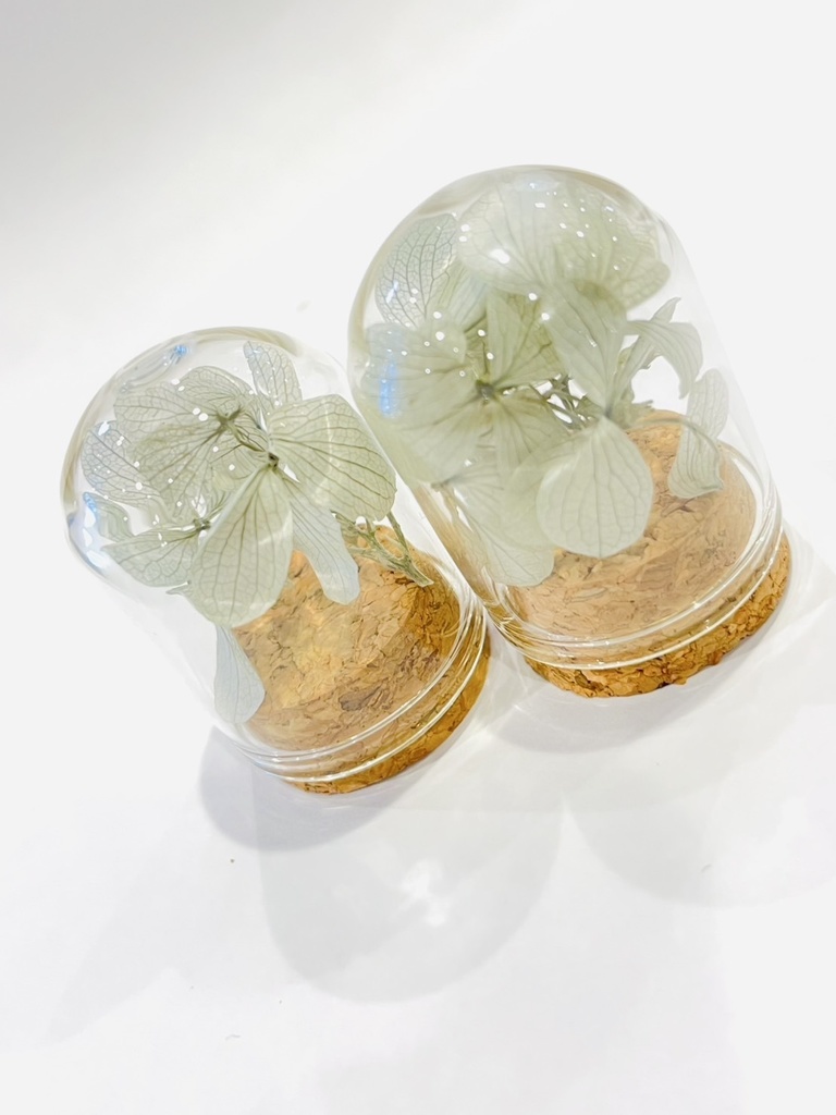 満月の夜「紫陽花の花守りー2025Ver」