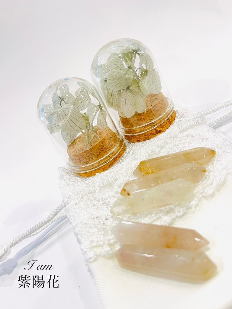 満月の夜「紫陽花の花守りー2025Ver」