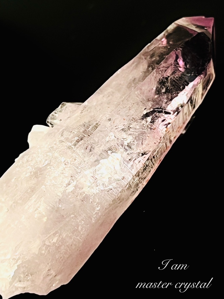 超レア⭐︎「Lepidolite in Vera Cruz Amethyst」