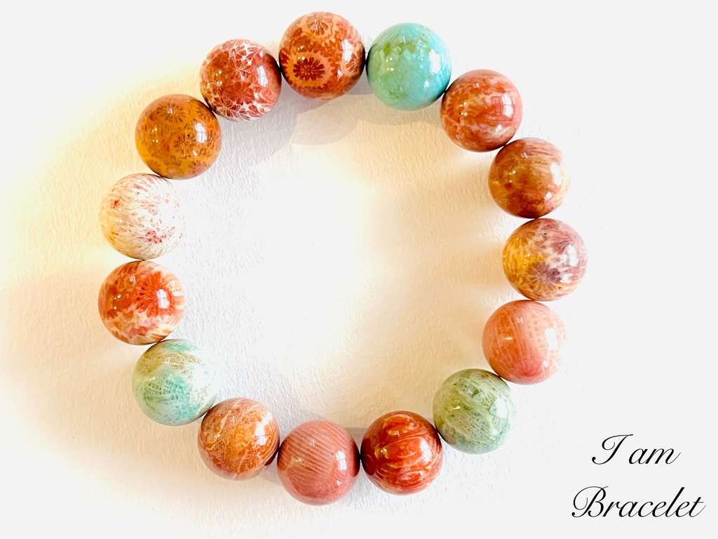 「Fossil Coral」