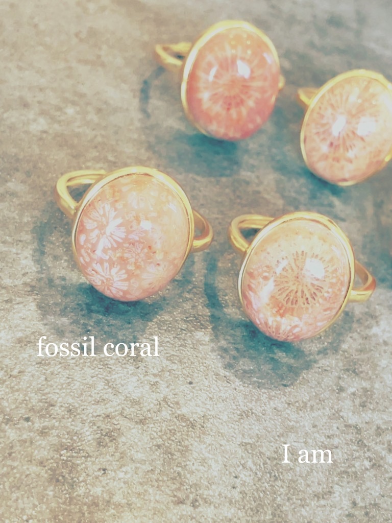 「Fossil Coral：ring②」