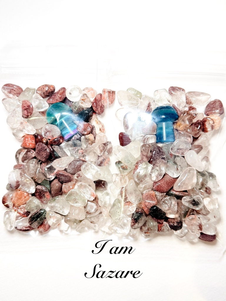 「mushroom picking🌳🍄🌳」