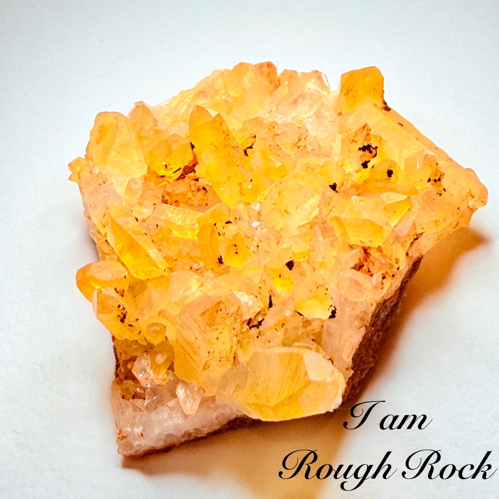 「golden healer：arkansas🇺🇸」