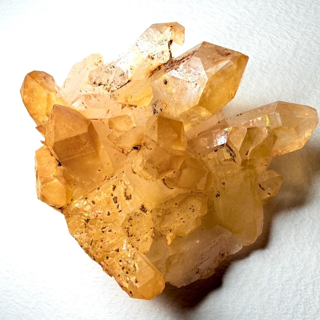 ⭐︎(34)レア: stone:アーカンソー産ゴールデンヒーラー:20251224