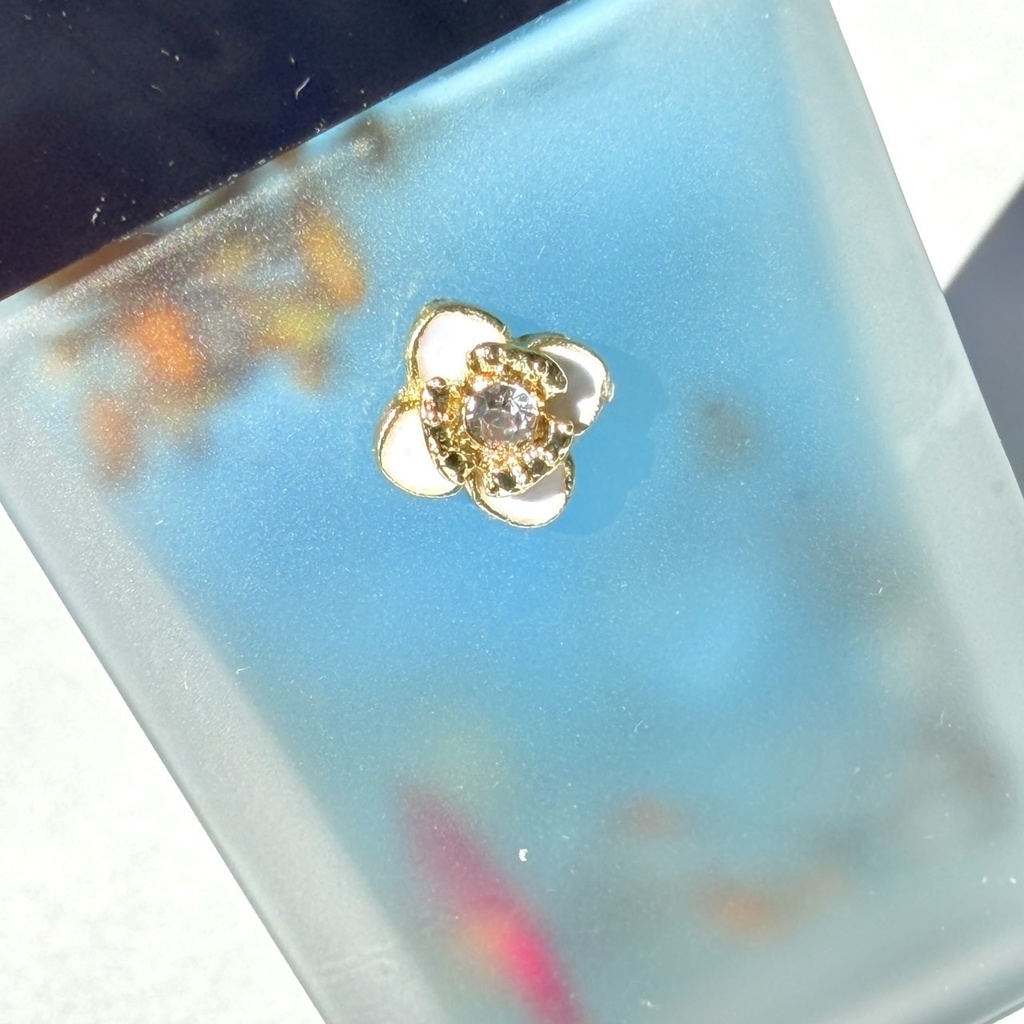 【coco‘soil.no23/accelerare】