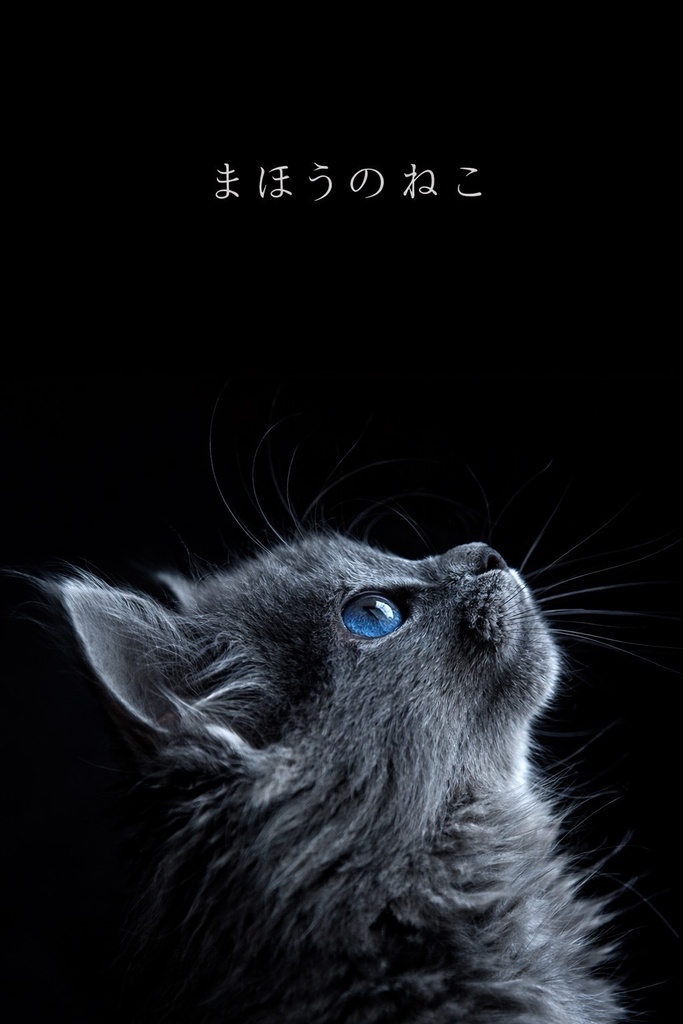 入荷リクエスト受付中【coco’oil No25：まほうのねこ】